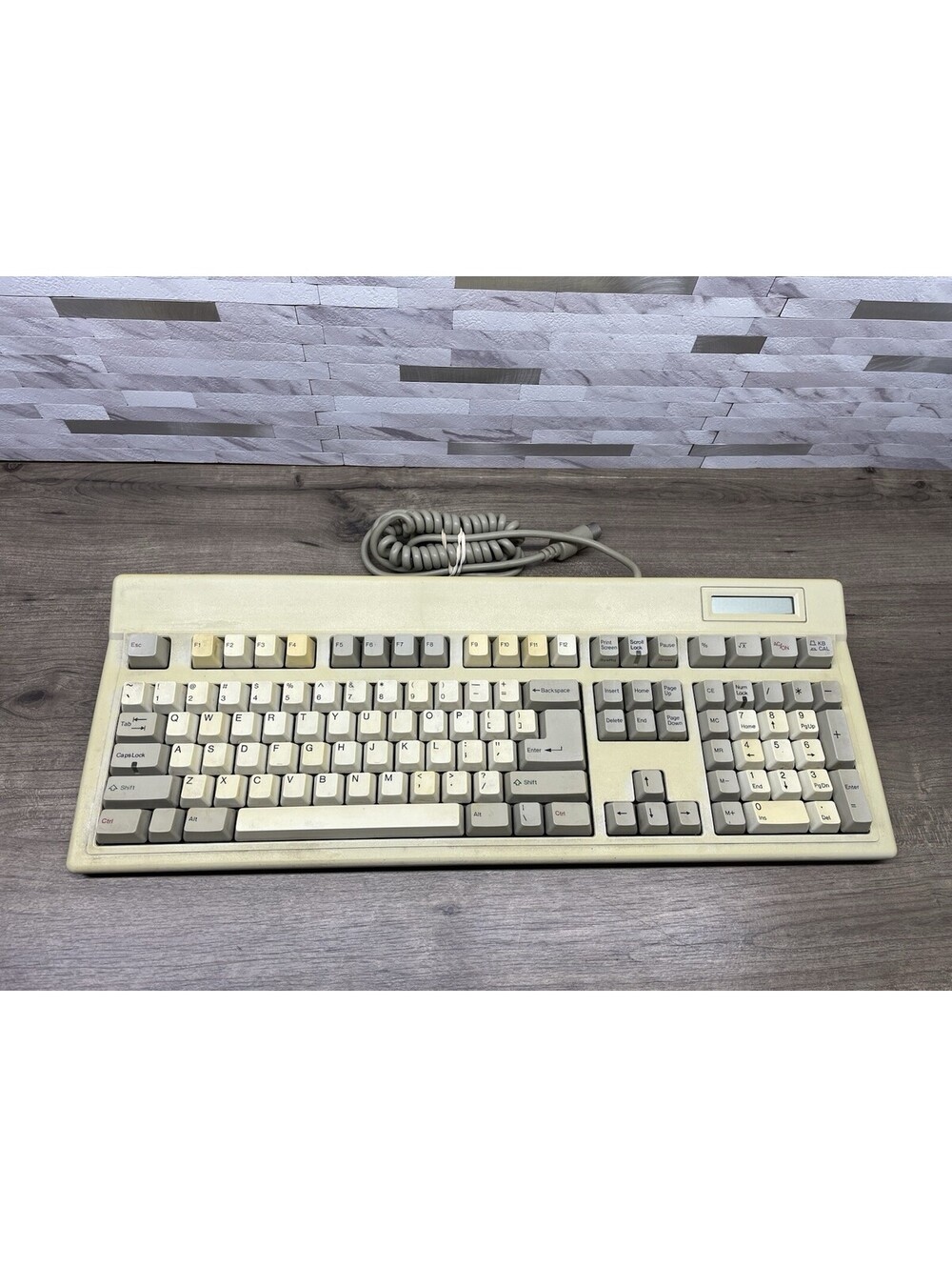 Focus Electronic Co. XT/AT FK-8000 Mechanical Keyboard COMPLETELY UNTESTED *READ